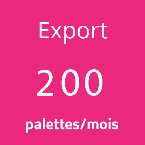 200-export-16-02.jpg